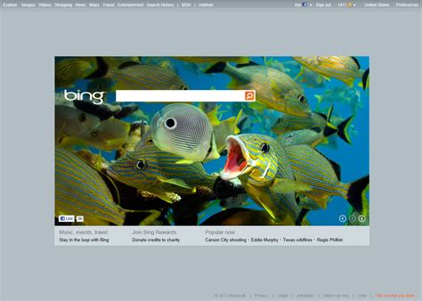 Bing Changes Its Home Page More To Come