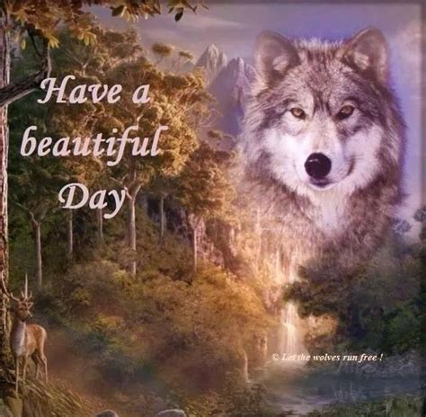 24 Good Morning With Wolf Images