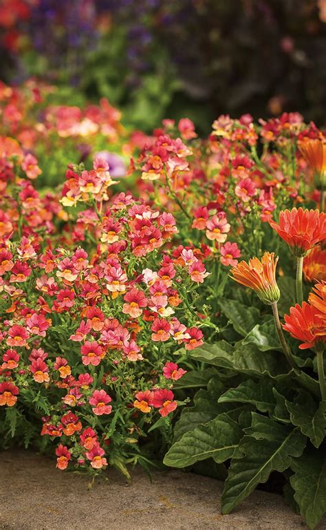 We did not find results for: Pin on Layered Landscapes