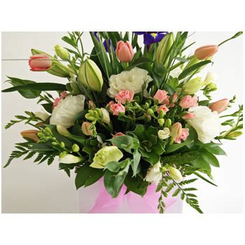 Check spelling or type a new query. Mothers Day Flower Box delivered Auckland wide
