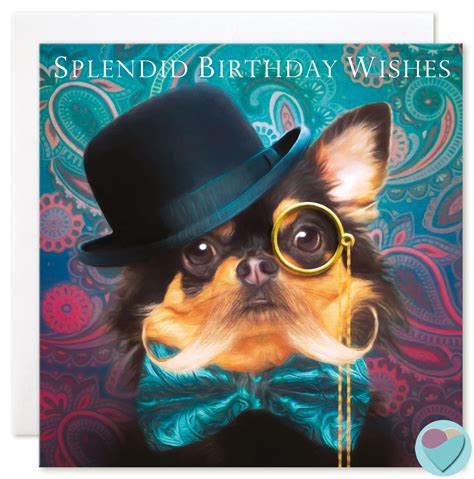 Chihuahua Birthday Card Splendid Birthday Wishes Juniperlove