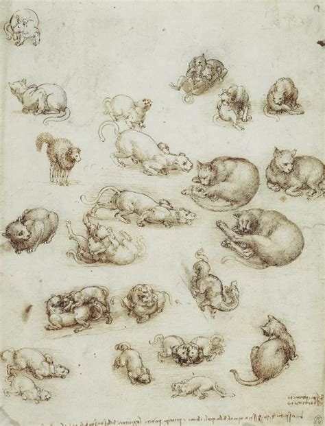 Fine art print, high quality digitally restored reproduction of the antique drawing. Leonardo da Vinci; did he sketch a dinosaur ...