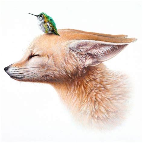 This Artist Transforms The Animal World Into One Of Puzzling Beauty And