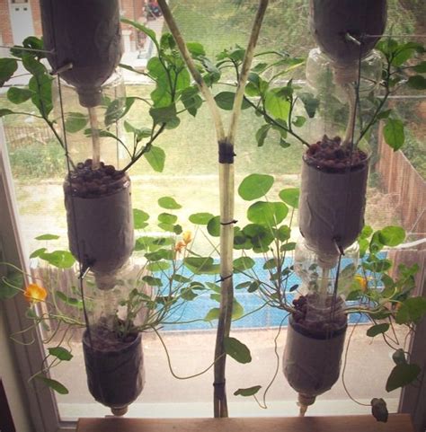 To all about diy overview. 16 DIY Indoor Window Garden Ideas For Urban Gardeners | Balcony Garden Web