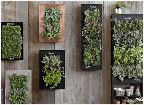 Home Decor Tips 4 Easy Ways To Create Indoor Vertical Garden To Enjoy