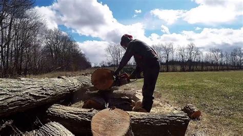 Cutting Firewood YouTube