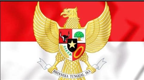 Mengenal Jumlah Bulu Burung Garuda Sebagai Lambang Negara Indonesia