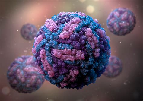 Zika Virus DIII Envelope protein - The Native Antigen Company