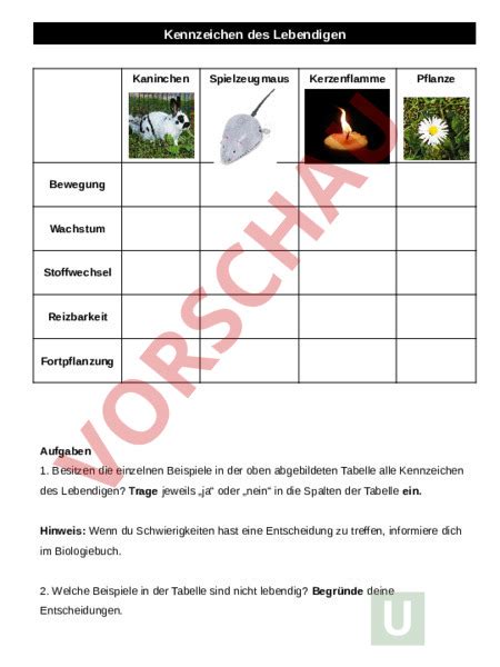 Arbeitsblatt Kennzeichen Des Lebendigen Biologie Pflanzen Botanik