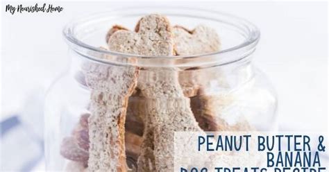 Homemade low calorie dog treat recipes. 10 Best Healthy Low Calorie Treats for Dogs Recipes