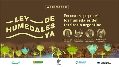 ¡ley de humedales ya por una ley que proteja los humedales del territorio argentino youtube