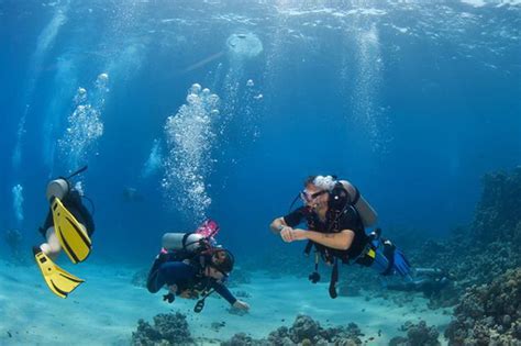 Cozumel Discover Scuba Dive In Cozumel Learn To Dive In Cozumel