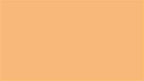 Mellow Apricot Solid Color Background Wallpaper 5120x2880