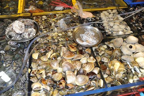 Find the bay harbour market at 31 harbour road, hout bay. Jagalchi fish market (5) | Busan | Pictures | Geography im ...