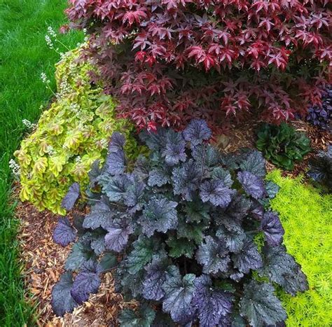 12 best bathroom plants for good feng shui. How to Make a Feng Shui garden | Feng Shui Plants and ...