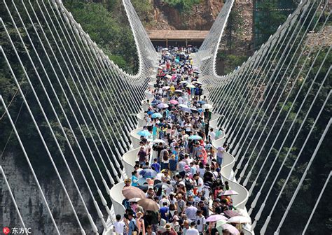 Worlds Longest Highest Glass Bridge Opens In Hunan 2 Cn