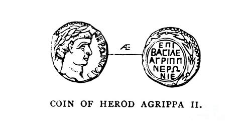 Coin Of Herod Agrippa Ii B1 Drawing By Historic Illustrations Pixels