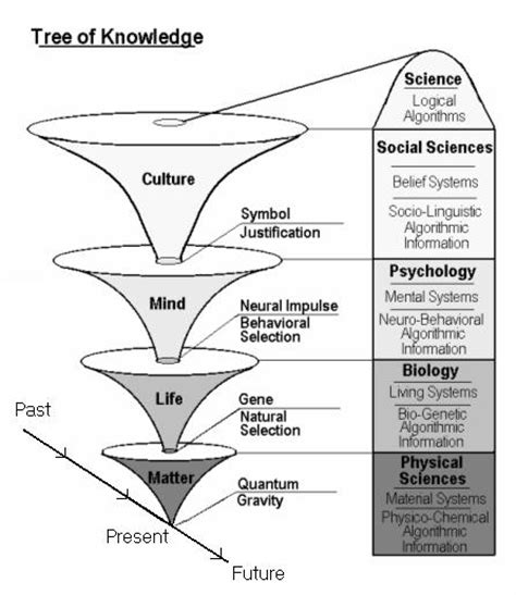 Tree Of Knowledge System Psychology Wiki