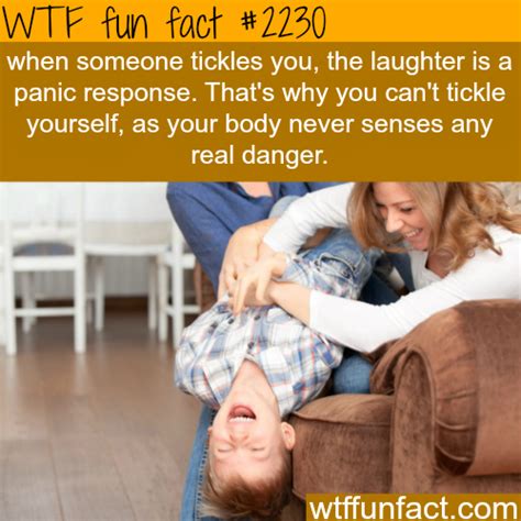 Why You Cant Tickle Yourself Wtf Fun Facts Fun Facts Pinterest Gracioso Imágenes