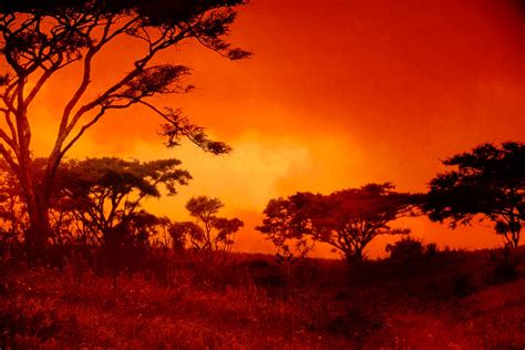 Landscape African Sunset Pictures Artistic Fantastic African Sunset