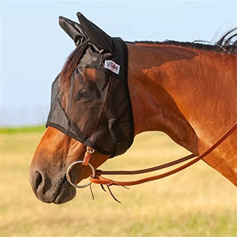 The Best Horse Bridles For Trail Riding Now Theusefulhammers