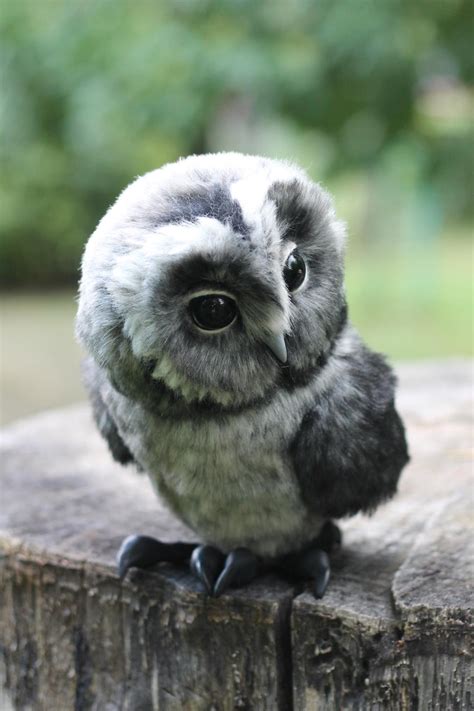Tawny Owl Knopka By Irentoys On Deviantart