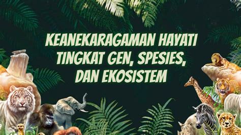 Keanekaragaman Hayati Tingkat Gen Spesies Dan Ekosistem Dunia