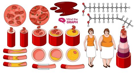 28 Cardiology Illustrations And More The Best Medical Illustrations