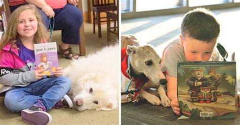 Program Lets Kids Read To Therapy Dogs To Beat Shyness And Improve