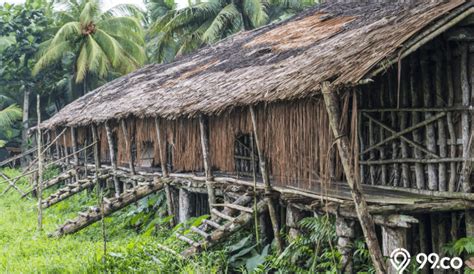 Rumah adat di indonesia antara lain rumah gadang dari sumatera barat✅, rumah rakyat dari bengkulu, rumah badui dari banten dan 40+ rumah adat nanggroe aceh darussalam = krong bade. Mengenal Jenis Rumah Adat Suku Asmat yang Sarat akan Filosofi