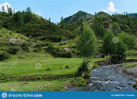 A Small Mountain River In A Green Valley Stock Image Image Of Beauty
