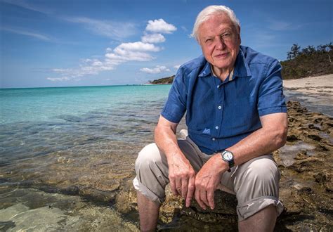 David Attenborough Turns 90 His Greatest Journeys And How To Do Them