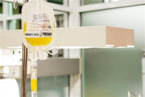 Hanging Bag Of Platelets From Blood Donation Stock Photo Image Of