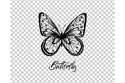 Butterfly. Vector illustration | Custom-Designed Illustrations