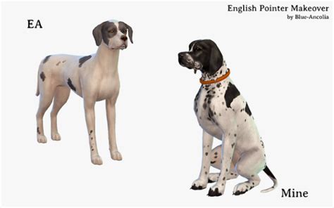 Download Blue Ancolia Sims 4 Pets English Pointer Pointer Puppies