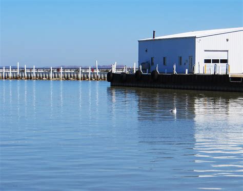 Sandusky Bay Reflections Photograph By Shawna Rowe