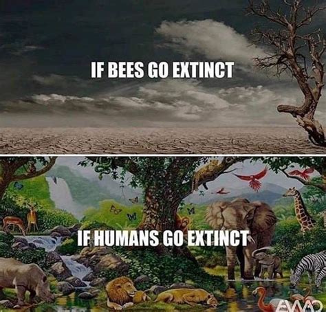 Pin By Janell On Bees Animal Planet Earth Environment