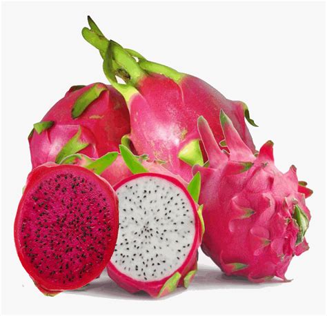 Take a look below for 24 more interesting and fascinating facts about. Hd Dragon Fruit Pictures - Dragon Fruit Images Hd, HD Png ...