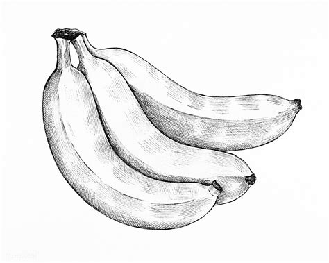 Three Hand Drawn Fresh Bananas Premium Image By How To