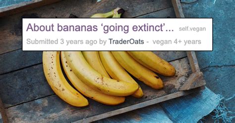 ‘do We Actually Need To Worry About Losing Bananas With Bananas On