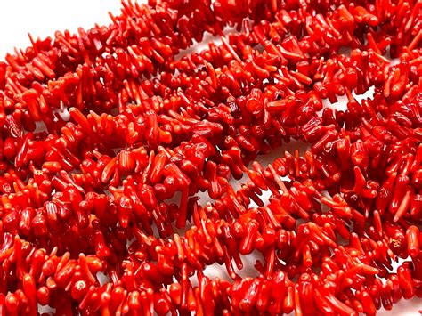Natürliche Rote Koralle Edelstein Zweig Form Perlen Größe Ca Etsy
