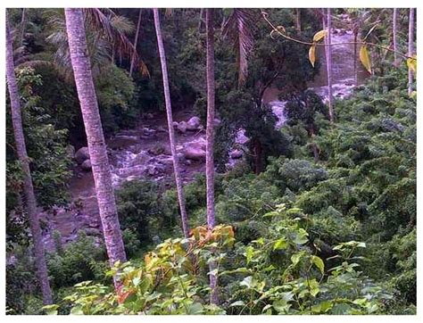 Sudah menjadi rahasia umum bahwa pulau bali merupakan salah satu pulau dengan segala hal yang menarik banyak. Dijual Tanah di Sayan Ubud Bali ~ Kavling Tanah Bali