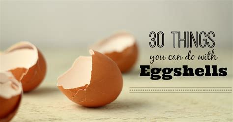 Boil a lot of them for quick snacks (*tip* if you have. 30+ Things to Do with Eggshells | Egg shells, Egg shells ...