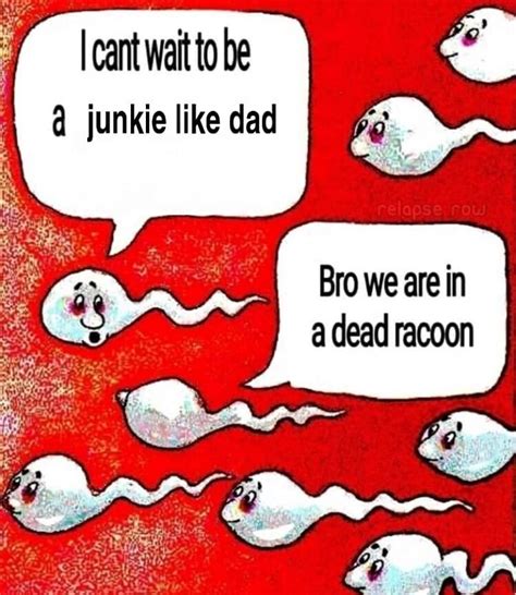 I Can T Wait To Be A Junkie Like Dad Bro We Are In A Dead Racoon Two Sperm Cells Talking