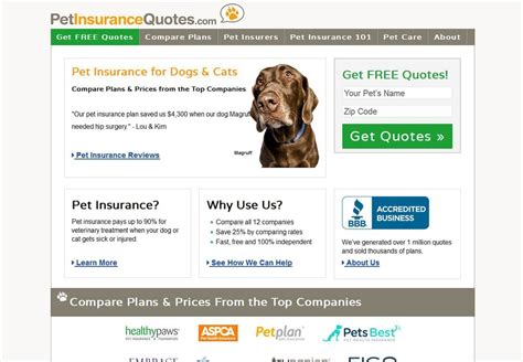 The Dog List Pet Insurance Quotes