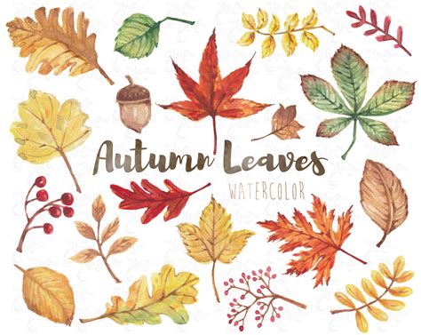 Watercolor Autumn Leaves Clipart Leaves Watercolor Autumn Etsy