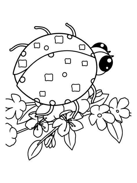 Cartoon Ladybugs And Flowers Coloring Pages