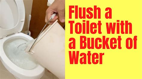 Flush A Toilet With A Bucket Of Water Basic Life Skills Youtube