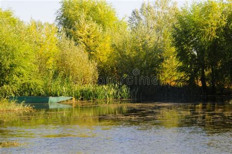 Autumn Scenery Near A Lake With Yellow Leaves On Trees In