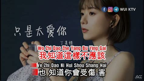 Ding Fu Ni 丁芙妮 Zhi Shi Tai Ai Ni 只是太爱你 Ktv Youtube